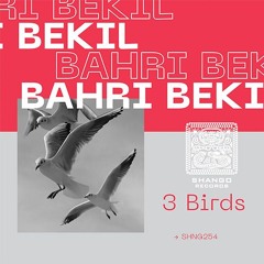 Bahri Bekil - Swallow