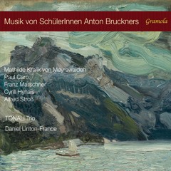 TONALi Trio - Klaviertrio F-Dur (III. Sehr schnell)
