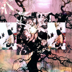 Lifeoftheparty kasso