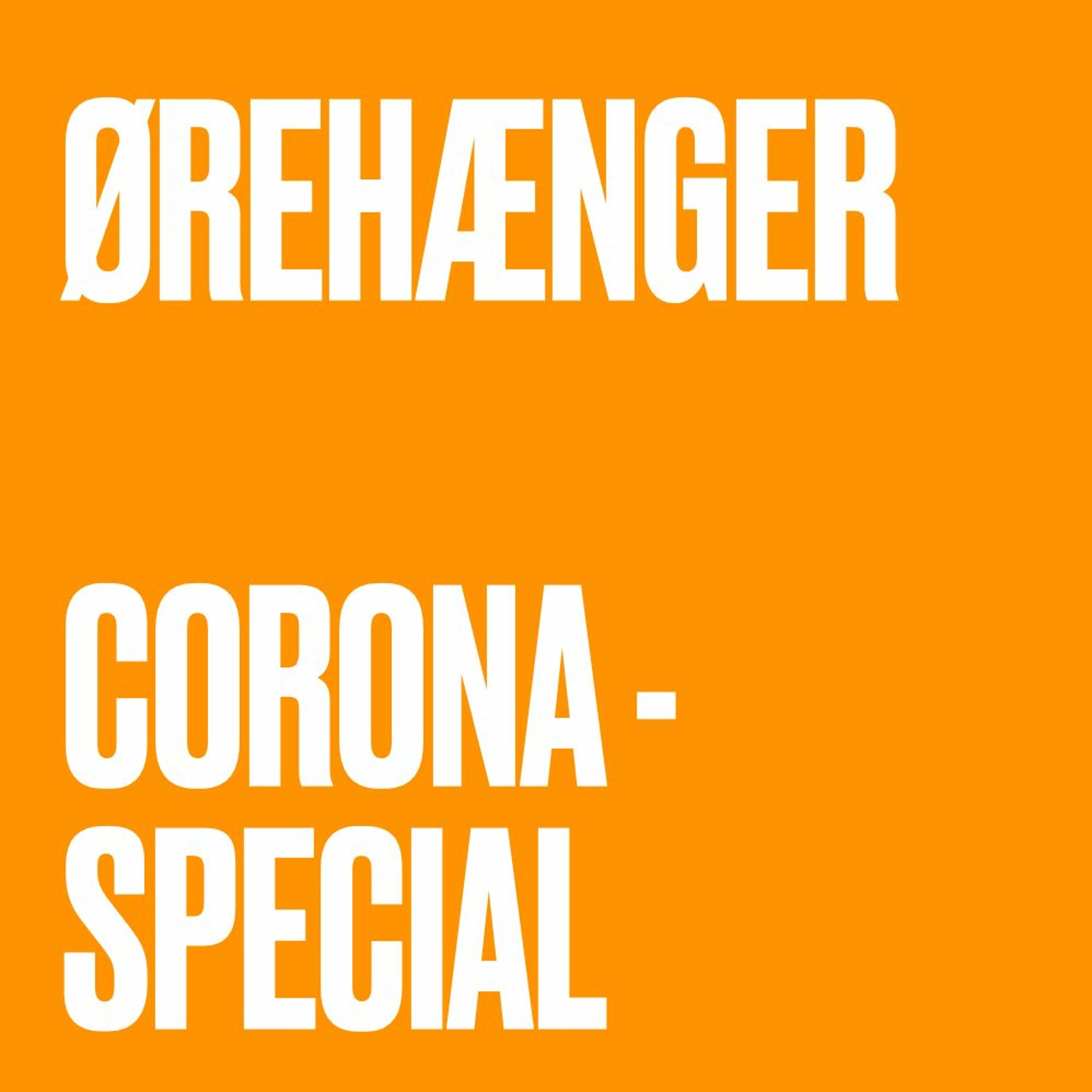 Ørehænger
