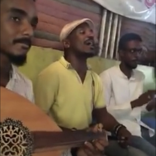 متين العودة تاني مشعل مدني بالعود