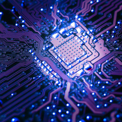 Eletrofusion BassBot Dance Afternoon June 14 2025