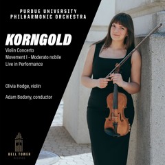 Violin Concerto in D Major, Op. 35: I. Moderato nobile (Live)