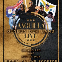 GusBus Deh Band Live - Riddim On The Roof Top