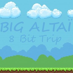 8 BIT TRIP