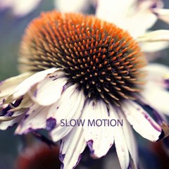 Slow Motion