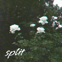 split