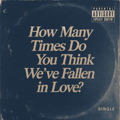 How Many Times Do You Think We've Fallen In Love?
