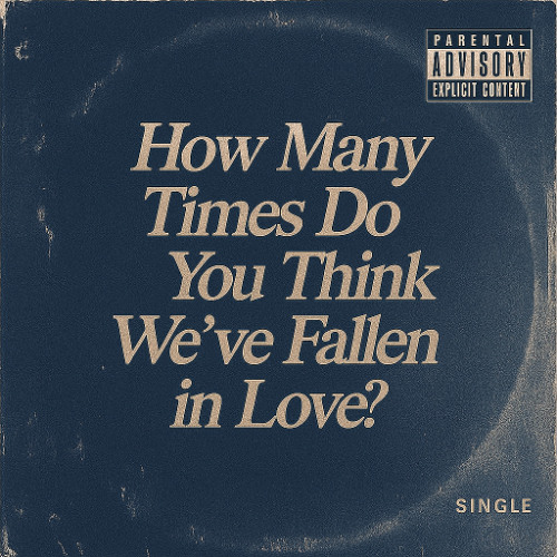 How Many Times Do You Think We've Fallen In Love?