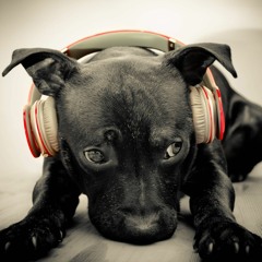 Drivers License [Caffeinated Mix]