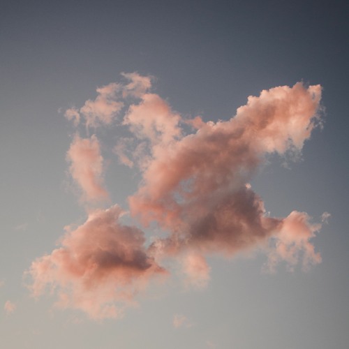 Hollie Kenniff - Rest In Flight