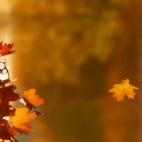 Autumn