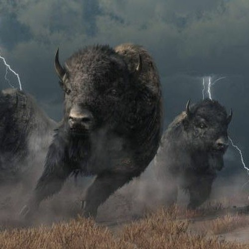 Stampede (Instrumental)