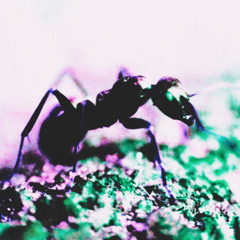 I D O N T W A N T T O G O O U T T H I S W A Y