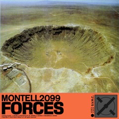 Montell2099 - INSOMNIA