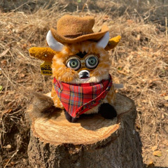 rodeo cheese furby w/ granimus / fiddlerz on the roof