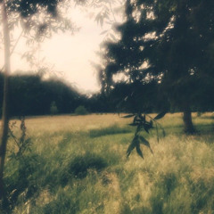 headlock #jersey @armoen @AJ