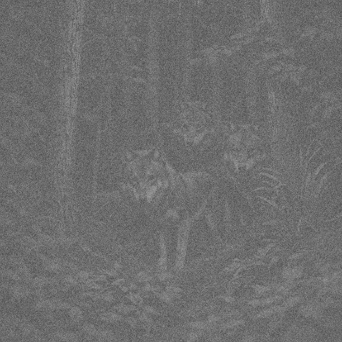 Running From Wolves