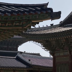 Korean bangers