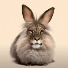 only 4 u (hxvvxn, damnenby) HARDSTYLE FRENCHCORE