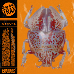 Esteban Miranda - Vertical Horizon EP [GTX041] (Including RVDMNTL Remixes) (Snippets)