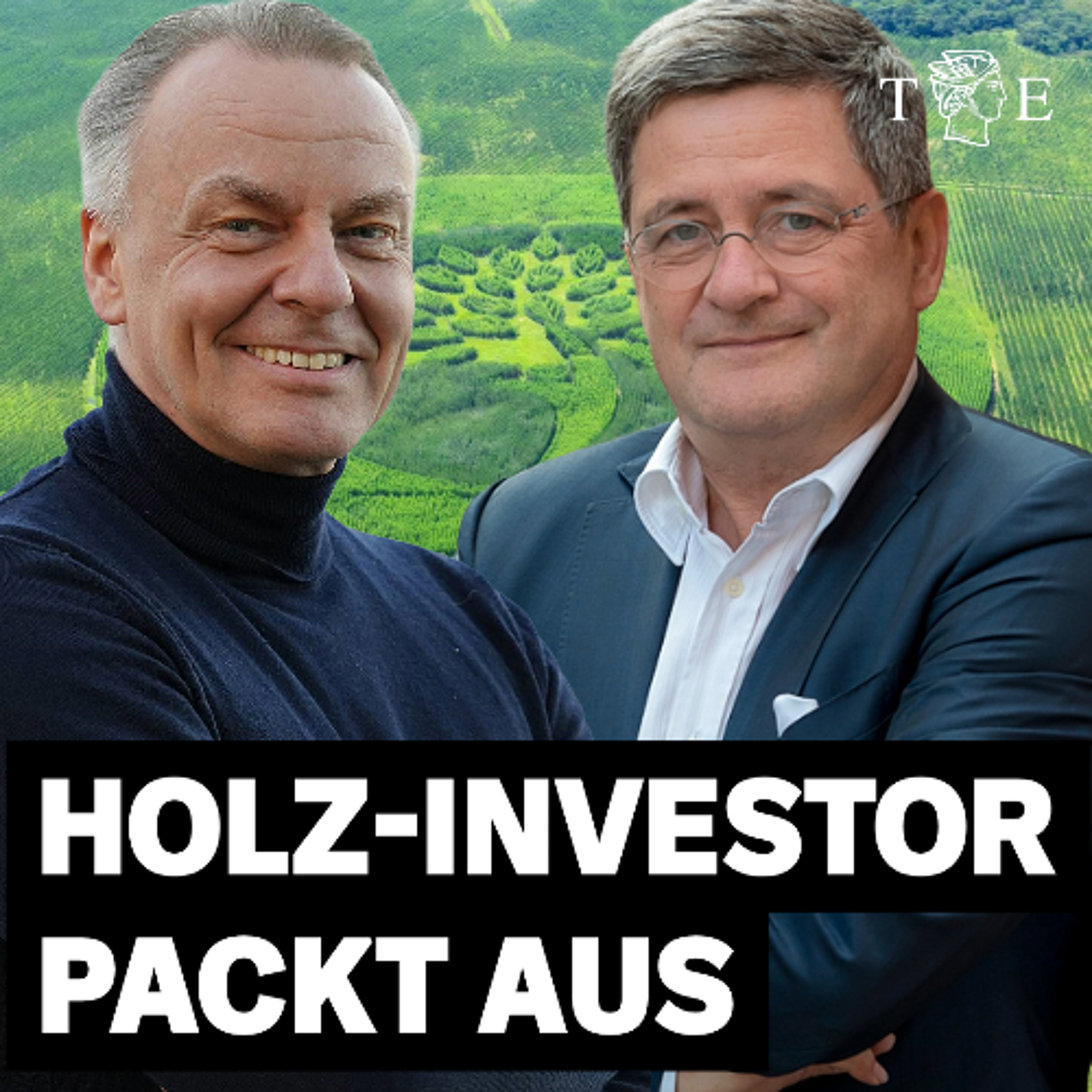 Holz-Business statt Klima-Betrug: Geld machen mit Wäldern und nebenbei den Regenwald retten