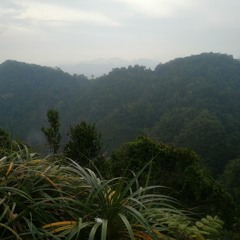 Descente de l'Amazone