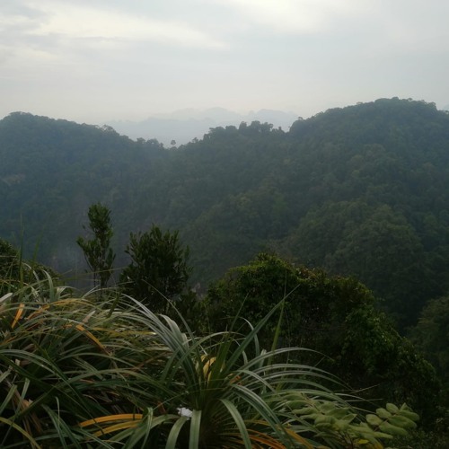 Descente de l'Amazone