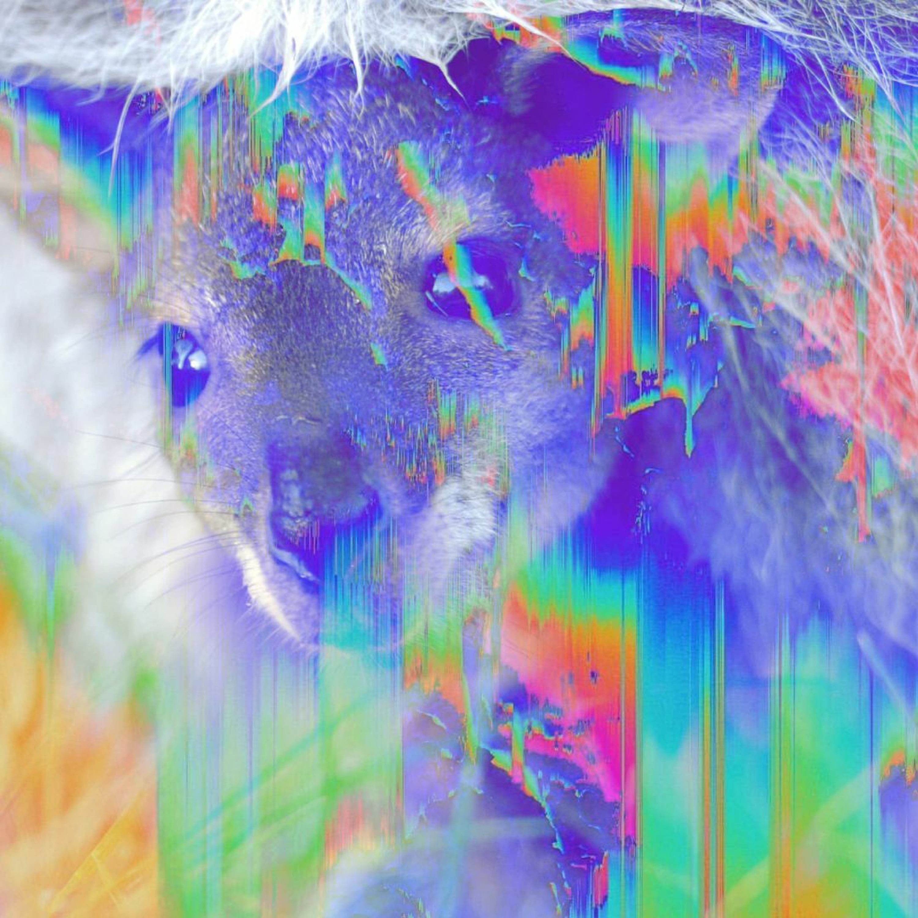 Downtempo Wubs 36 episode artwork