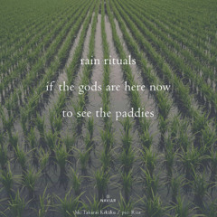Rain_Rituals-(naviarhaiku-599)