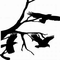 The Three Ravens