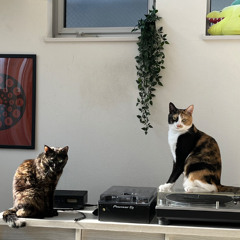 Love Against the Machine (rough demo)