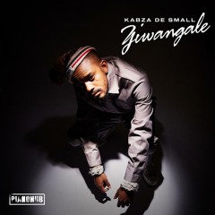 Ziwa Ngale (feat. DJ Tira, Young Stunna, Dladla Mshunqisi, Felo Le Tee, Beast & Dj Exit_sa)