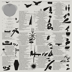 Ross Gay - Catalog Of Unabashed Gratitude with Bon Iver