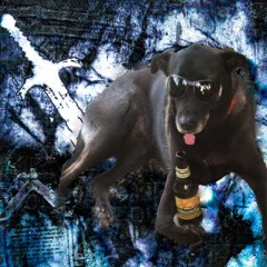 Quien dejo salir a los perros? feat DEINA (FREE DL)