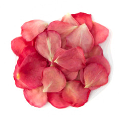 petals (1juura)