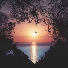 ‎⁨مازلت مجهولاً .⁩