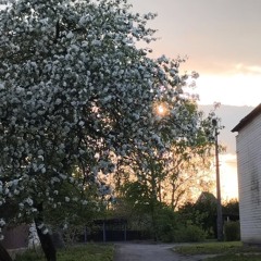 Овсянкин -Тебе стыдно instrumental-slowed reverb