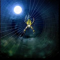 The Orb Weaver