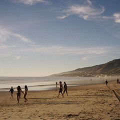 BIRDS OF A FEATHER  by Jordan Greenwald