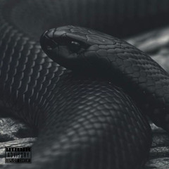 Hip Hop Type Beat