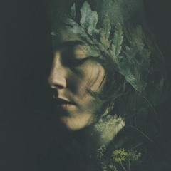 Electric Dreamscapes Unfold