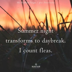 Summer night transforms to daybreak [naviarhaiku479]