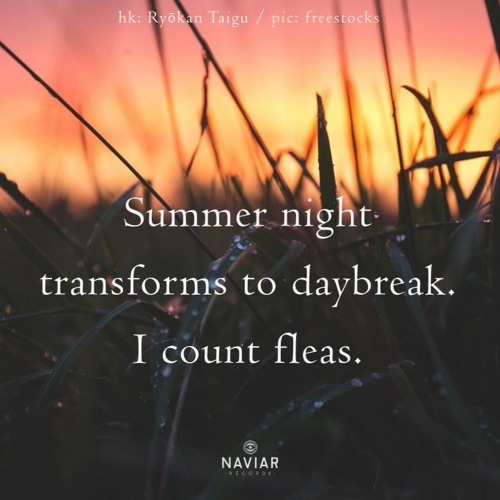 Summer night transforms to daybreak [naviarhaiku479]