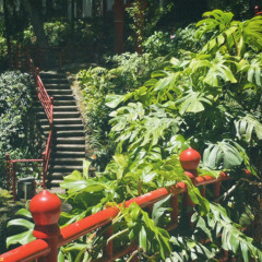 WYBEZ - Džungle BKAO