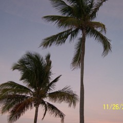 In one of my dreams (arabic version) В един от сънищата ми (арабска версия)