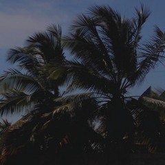 Synthwave/Chillsynth