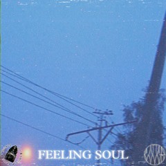 FEELING SOUL