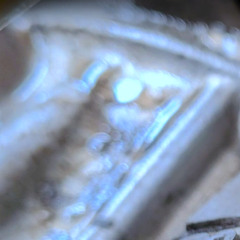 Out the Jungle Window