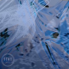 KUCES - Stay
